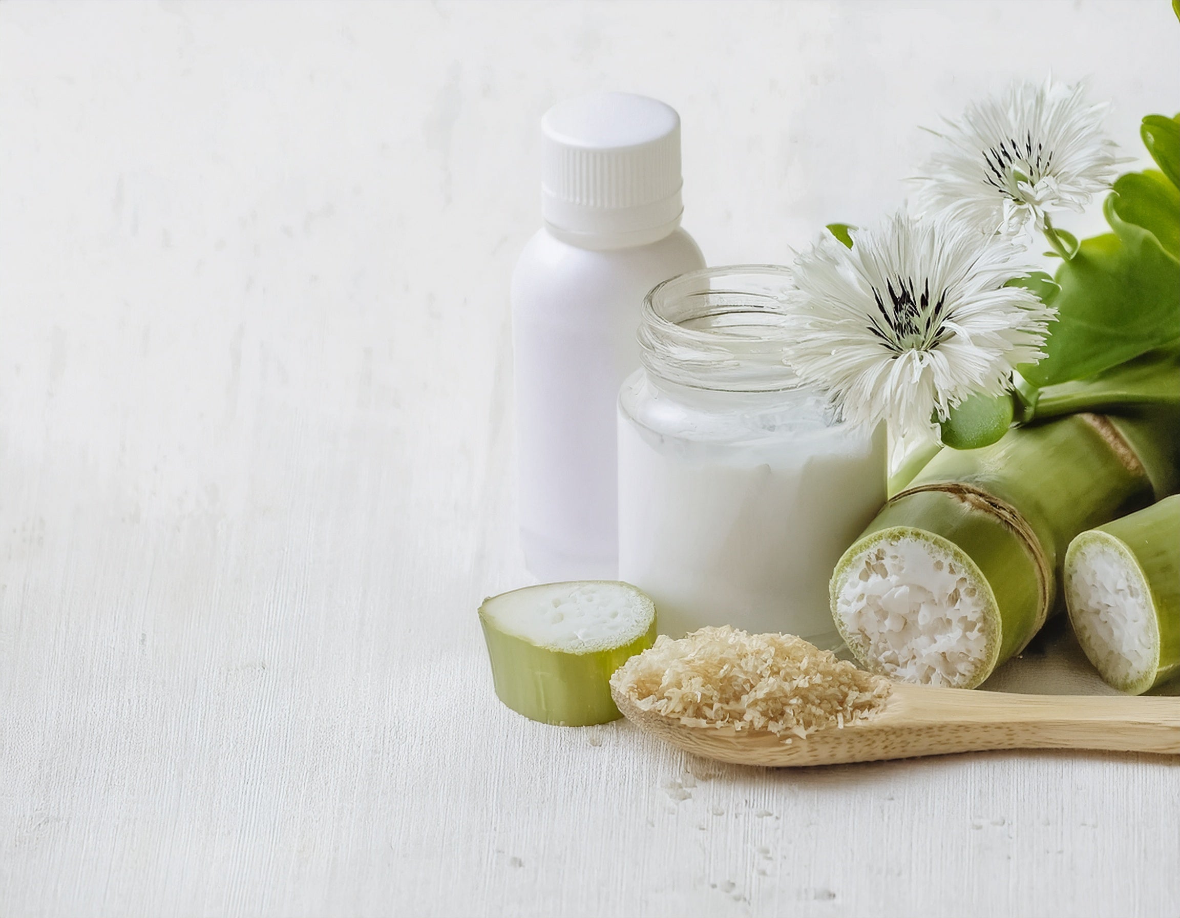 Les prébiotiques sont bien plus qu’une tendance, ils apportent une efficacité prouvée !